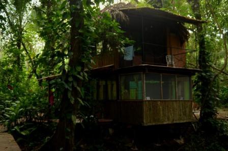 Jungle Palace à Palenque